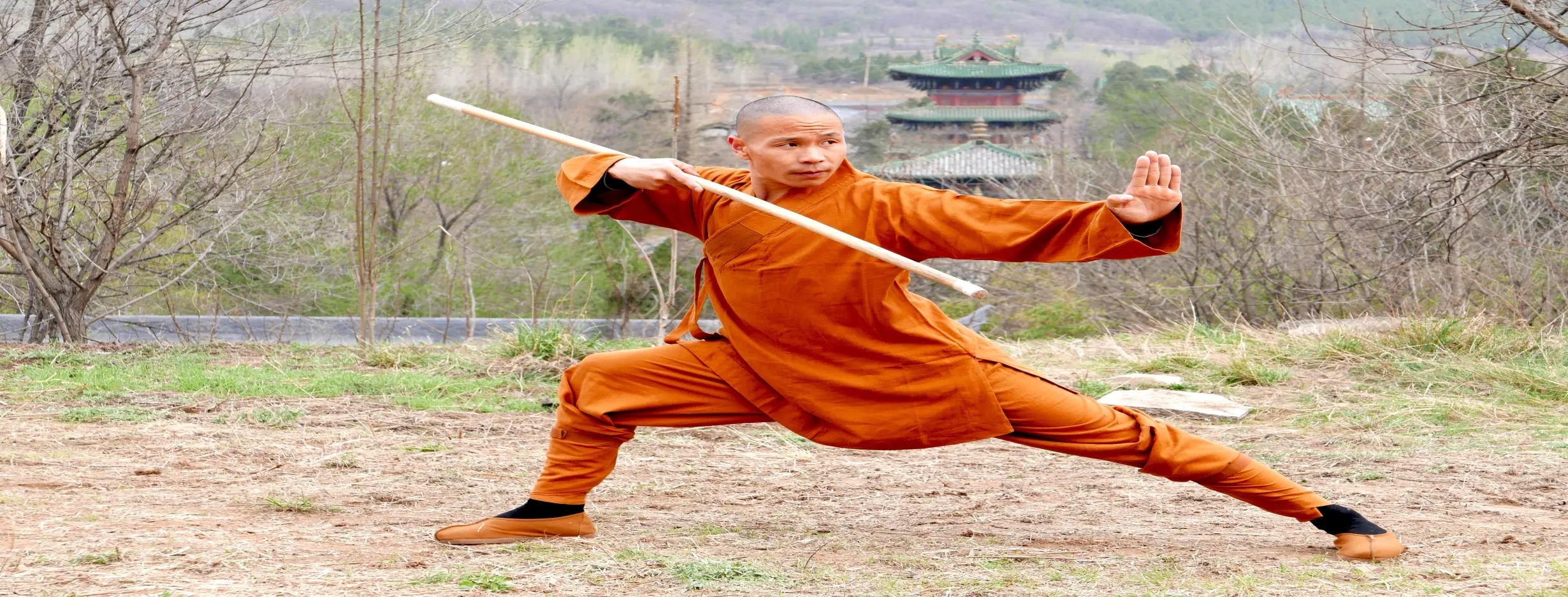 Image for Kung Fu